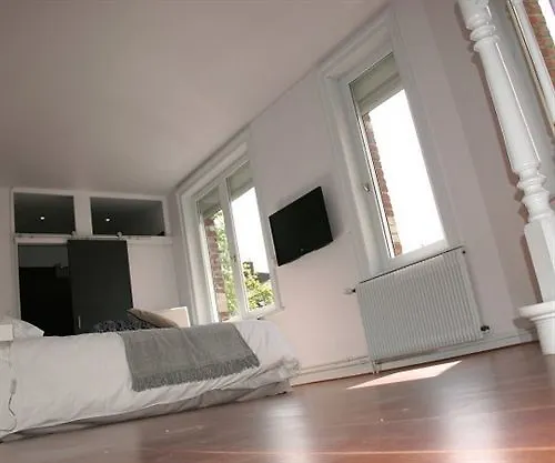 L'Esplanade Lille Bed and Breakfast 3*,